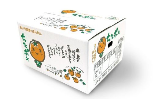 ちたポン（ぽんかん）5kg｜あいち知多のぽんかん 太田ぽんかん ポンカン フルーツ 果物 果実 かんきつ みかん ミカン 蜜柑 期間限定 数量限定 美浜町 愛知県 知多半島 国産　※北海道・沖縄・離島への配送不可　※2026年1月中旬～2月中旬頃に順次発送予定