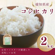 愛知県産 コシヒカリ 2kg｜米 お米 コメ こめ おにぎり 弁当 愛知県 美浜町 新米 ※北海道・沖縄・離島への配送不可