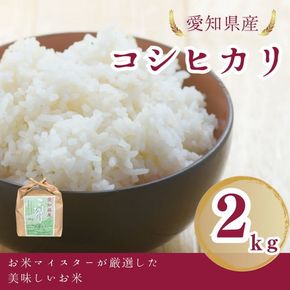 愛知県産 コシヒカリ 2kg｜米 お米 コメ こめ おにぎり 弁当 愛知県 美浜町 新米 ※北海道・沖縄・離島への配送不可