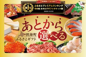 御礼！ランキング第1位獲得！あとからセレクト【ふるさとギフト】寄附3000円相当 あとから選べる！ カタログ ギフト BY0000003