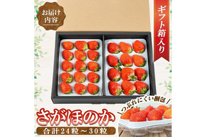 a881 ＜先行予約受付中！2027年2月上旬～3月下旬に発送予定＞ いちご・さがほのか(合計24粒～30粒)【佳農園】国産 鹿児島県産 苺 イチゴ フルーツ 果物 くだもの ギフト 贈答用