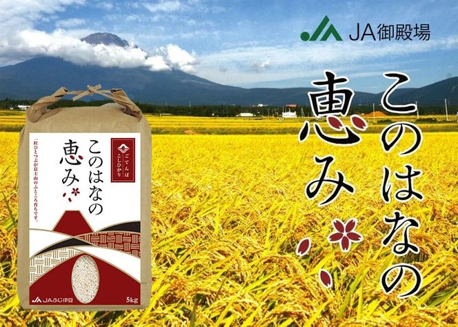 ごてんばこしひかり 「このはなの恵み」 5kg 【お米　コシヒカリ】◇