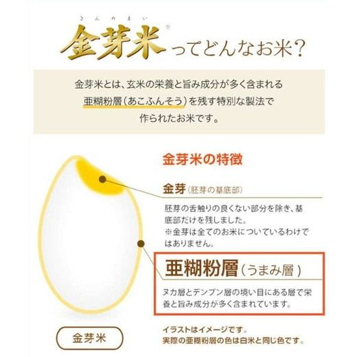 【 金芽米 】愛知県 美浜町産 にじのきらめき 5kg 無洗米｜きんめまい 米 お米 美浜町 糖質オフ BG無洗米 新米※北海道・沖縄・離島への配送不可