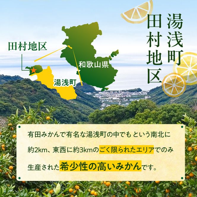 【2026年先行予約】「高級 田村みかん」 青秀 約10kg Sサイズ 和歌山県有田産 有田みかん_U6244