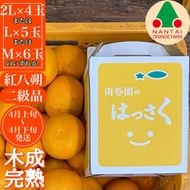 ちょっと 傷あり 木成完熟 紅はっさく 2L ～ M ( 4玉 ～ 6玉 ) 手さげ箱 【2025年4月上旬～発送】 BS788