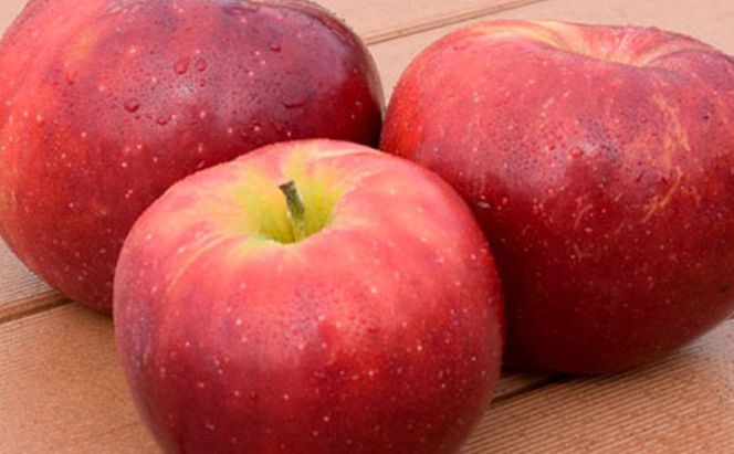 【2026年8月～発送】シナノリップ約5kg りんご 長野県産