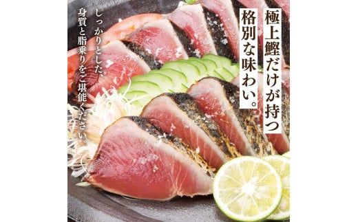 【CF-R7hbk】“土佐料理司”塩たたき3節（合計900g以上）／旨い鰹だからこそ塩で頂く。極上鰹ならではの格別な味わい。ギフト 2022 プレゼント 海鮮 グルメ 惣菜 食べ物