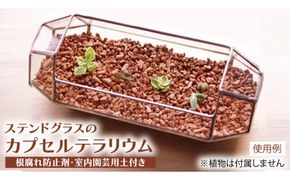 ステンドグラスのカプセルテラリウム[BR001us]