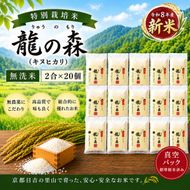 特別栽培米 「 龍の森 」( キヌヒカリ )　300g×20パック お米 きぬひかり 無洗米 真空パックでお届け 米 コメ 精米 無洗米 白米 ごはん 白飯 京都府 南丹市