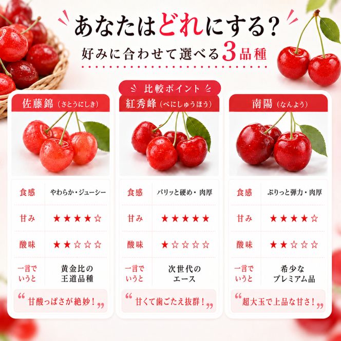 2027年発送 北海道 仁木町産 さくらんぼ 南陽 600g(300g×2パック)　Lサイズ以上 旬 桜桃 産地直送 サクランボ チェリー フルーツ 果物 果物類  仁木町 仁木 [松山商店]