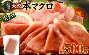 厳選天然本マグロ　大トロたっぷり500g 父の日 柵 ブロック
