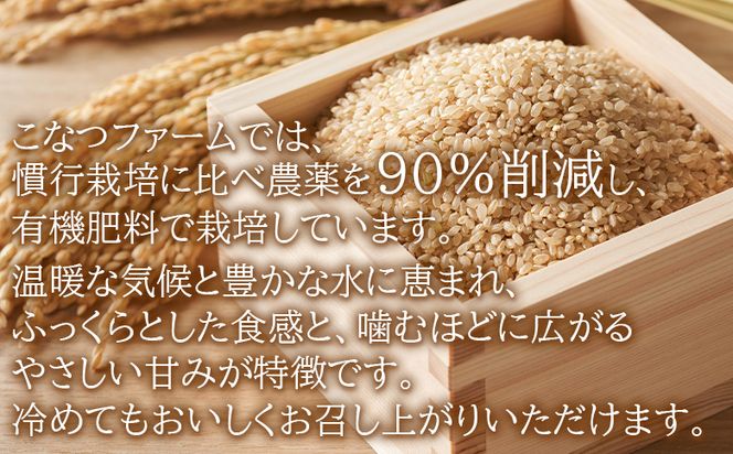令和８年度産 玄米（特別栽培米）5kg 【8月下旬以降順次配送】 お米 こめ コメ げんまい おにぎり お弁当 毎日のご飯 特別栽培米 キロ ふっくら つやつや 冷めても美味しい お取り寄せ 国産 ka-0001
