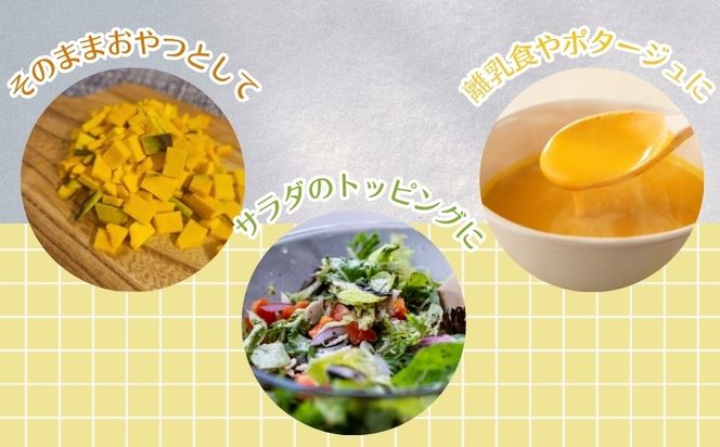 かぼちゃの“まんま”　FB050