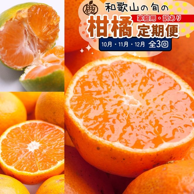 【定期便】家庭用 柑橘定期便 M 3回（10～12月）※北海道・沖縄・離島への配送不可※10月・11月・12月に発送