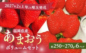 あまおう 【2027年2月上旬より順次発送】 あまおうボリュームセット 6パック イチゴ 苺 いちご 果物 福岡県産 ※配送不可:離島