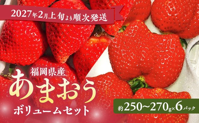 あまおう 【2027年2月上旬より順次発送】 あまおうボリュームセット 6パック イチゴ 苺 いちご 果物 福岡県産 ※配送不可:離島