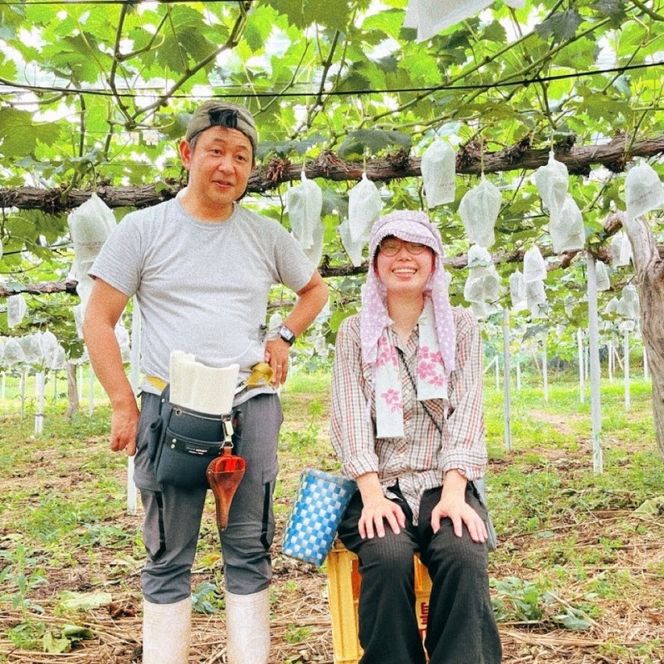 2026年 早期受付 ぶどう ピオーネ 約2kg（3～4房）岡山県高梁市産 まつむら農園 個装箱入り 葡萄 ブドウ 贈り物