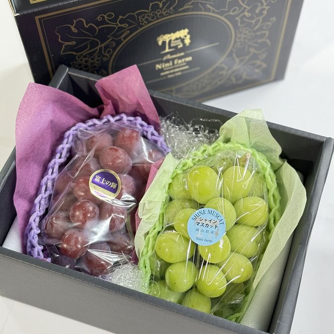 ぶどう 2026年 先行予約 話題の品種 富士の輝＆こだわりのシャインマスカット 贈答ランク 合計約1.4kg ブドウ 葡萄 岡山県産 国産 フルーツ 果物 ギフト 【 Nini farm 農家 直送 】