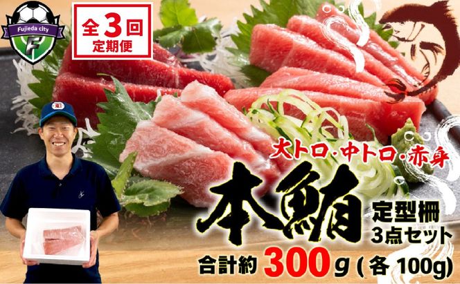 【3回定期便】 マグロ 刺身 食べ比べ 大トロ 中トロ 赤身 約 300g 本まぐろ 本鮪 本マグロ 大とろ 中とろ 赤身 解凍 漬け鮪 海鮮 カネトモ 静岡県 藤枝市