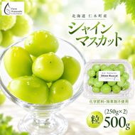 【2026年産】北海道 仁木町産 シャインマスカット 粒 500g (250g×2) 化学肥料・除草剤不使用 ぶどう フルーツ 果物 くだもの [Farm Watanabe]
