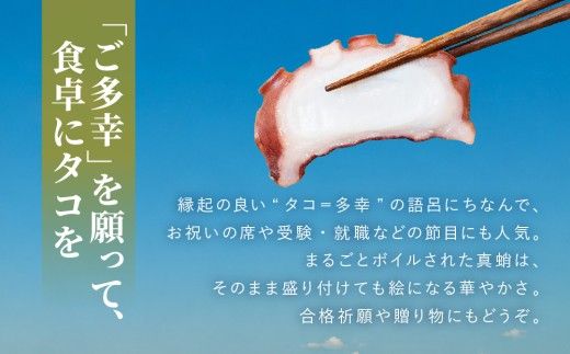 20-112 天然真蛸のボイル 1杯（冷蔵）三重県鳥羽で水揚げされた天然真蛸のボイル