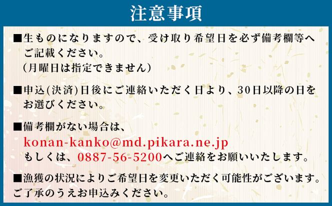 【冷蔵】訳あり 上乾ちりめん 約1kg - 国産 ちりめん しらす シラス 稚魚 魚介 魚 海産物 天日干し 釜茹で ドロメ サラダ 和え物 アレンジ 料理 ご飯のお供 高知県 香南市 冷蔵 mu-0014