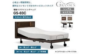 フランスベッド電動リクライニングGS-03C（2モーター：背上げ・脚上げ／3モーター：背上げ・脚上げ・上下昇降）脚付きタイプ／キャスタータイプ　マットレス・手すり付き（シングル）