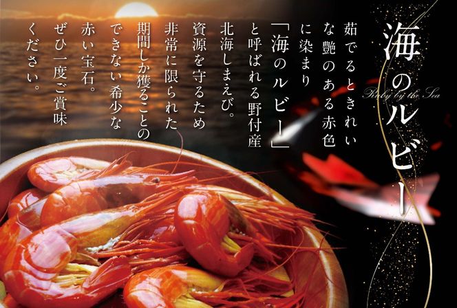 北海道野付産 北海シマエビ Mサイズ 1kg（500g×2）【NK0002RQ0】