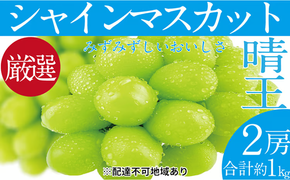 ぶどう 2026年 先行予約 シャイン マスカット 晴王 2房（合計約1kg） ブドウ 葡萄 岡山県産 国産 フルーツ 果物 ギフト デザート 食後 酸味が少ない 産地直送 [№5735-1679]