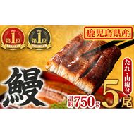 【0294315a】東串良町のうなぎ蒲焼(無頭)(5尾・計約750g・タレ、山椒付)うなぎ 高級 ウナギ 鰻 国産 蒲焼 蒲焼き たれ 鹿児島 ふるさと 人気【アクアおおすみ】