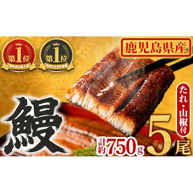 【0294315a】東串良町のうなぎ蒲焼(無頭)(5尾・計約750g・タレ、山椒付)うなぎ 高級 ウナギ 鰻 国産 蒲焼 蒲焼き たれ 鹿児島 ふるさと 人気【アクアおおすみ】