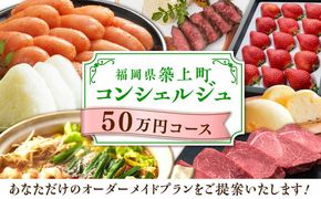 【後から選べる！】築上町 コンシェルジュ 寄附額 50万円 コース 《築上町》 おすすめ おまかせ 定期便[ABZY001]