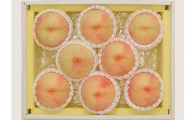 桃 2026年先行予約 岡山県産 白桃 約1.8kg 7～9玉 お届け 7月上旬～7月下旬