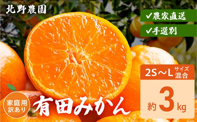 DZ6237_【2026年先行予約】家庭用 訳あり 有田みかん 和歌山 2S～Lサイズ混合 約3kg