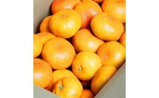 【先行予約受付 有田ミカン】紀州有田産　濃厚完熟温州みかん　3kg（ＭサイズまたはＳサイズ）※2026年11月下旬～2027年1月下旬頃に順次発送予定(お届け日指定不可) みかん 柑橘類【uot713】