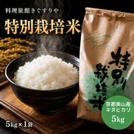 【令和8年度】 料理旅館きぐすりや 特別栽培米 キヌヒカリ 5kg 令和8年 精米 白米 お米 こめ コメ 減農薬栽培 5 キロ ご飯 ごはん 京都　※9月下旬より順次発送 新米26