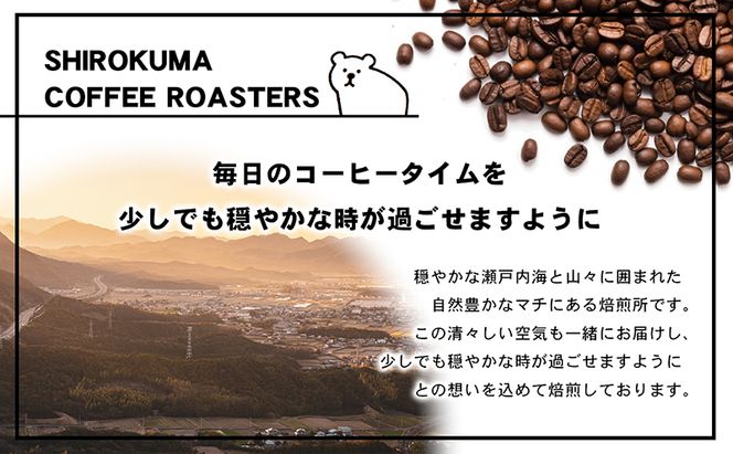 自家焙煎珈琲豆専門店のおすすめ 3種　ほっとコーヒーセット  コーヒー豆 コーヒー粉 