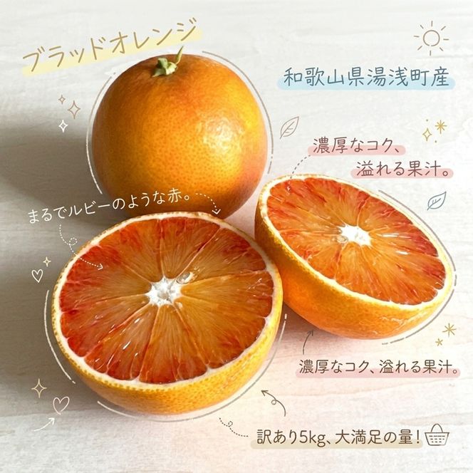 【2027年先行予約】《訳あり 家庭用》ブラッドオレンジ 約5kg（S～2Lサイズ混合）_EQ6012