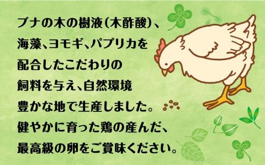 【定期便】5回定期 【天王原のたまご】 ロイヤル卵50個入り【定期便 5回定期便 セット たまご 卵 玉子 タマゴ 濃厚 ハリ 弾力 ボリューム 甘味 旨味 卵黄 風味 生 コク 甘味 卵かけご飯 卵焼き 目玉焼き オムレツ 茶碗蒸し お菓子作り パンの材料】