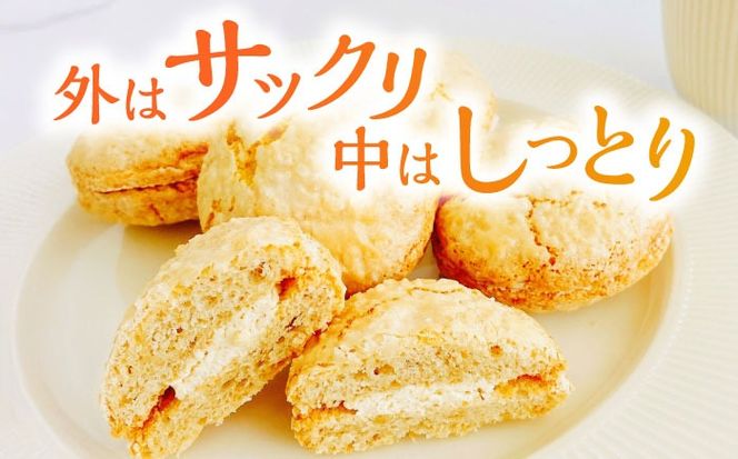 コザハニー L (12個入り) 焼き菓子 クリームサンド ハニー はちみつ コハマのはちみつ 取り寄せ ギフト 沖縄市 / 農業生産法人株式会社小浜養蜂場[BCAQ012]