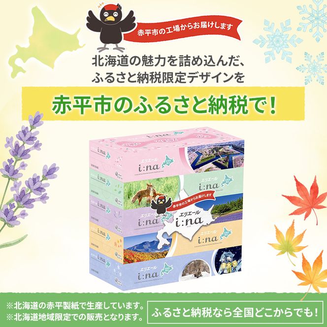 定期便 2ヵ月連続お届け エリエール ハーフサイズ 収納に便利 コンパクト 【少量6パック】 i:na 北海道 ティシュー 150組 5箱 6パック 計30箱 フィルムレス ふるさと納税限定デザイン イーナ 箱ティッシュ 備蓄品