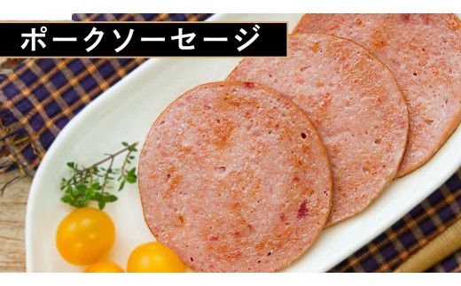 筑波ハム バラエティ ブロック 7品 ( ハム ベーコン ソーセージ 焼豚 ) 合計1910g 茨城県産 『 常陸の輝き 』 ブランド豚 銘柄豚 ( 茨城県共通返礼品 ) 詰合せ 詰め合わせ 肉 豚 ウィンナー 熟成 [FA002us]	