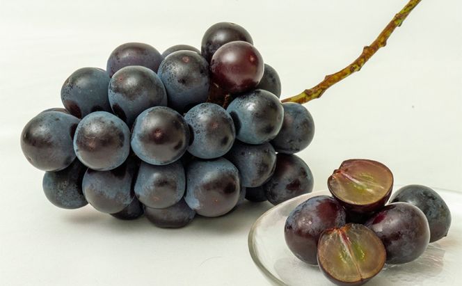 フルーツ 定期便 2026年 先行予約 フルーツ王国 岡山を堪能 5回コース 桃 もも 葡萄 ぶどう 梨 なし岡山県産 国産 果物 セット ギフト 