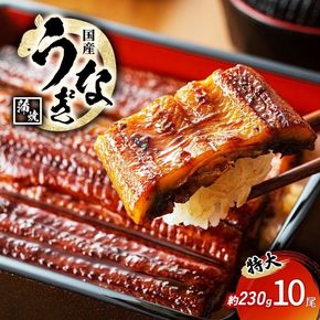 特大うなぎの蒲焼き 国産(愛知県産) 約230g前後 10尾