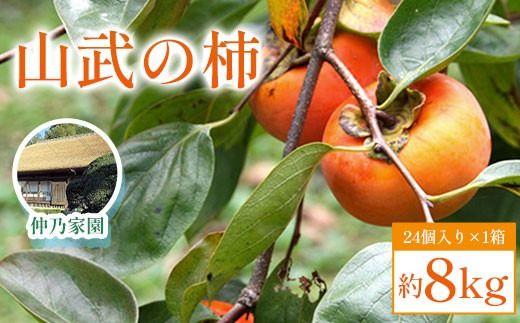 【先行予約2025年10月下旬発送開始】山武の柿 約8kg(24個入り×1箱) SML001
