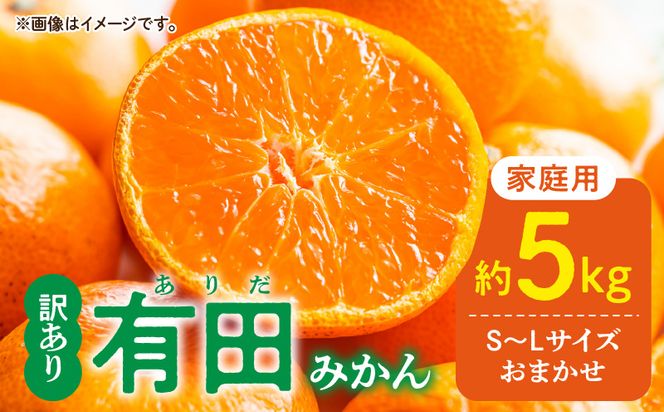 DZ6202_12_【2026年12月発送】ご家庭用 有田みかん 和歌山県産 S～Lサイズ 大きさお任せ 約5kg