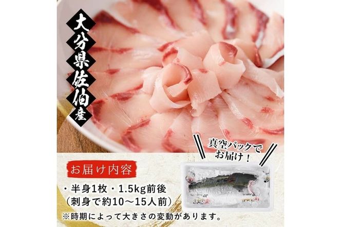 養殖 ブリフィーレ (1.5kg前後・半身1枚) 大分県産 国産 ブリ ぶりフィーレ 鰤フィレ 養殖ブリ 新鮮 刺身 しゃぶしゃぶ 照り焼き 鰤かま 冷蔵 大分県 佐伯市【AL94】【さいきりーふ】