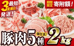 ＼3営業日以内発送／＜1回配送＞ 豚肉 バラエティーパック (合計2kg) 豚バラ しゃぶしゃぶ 鍋 とんかつ ロース 小分け 個包装 豚こま 小間切れ スライス ミンチ 5種 セット 詰め合わせ 冷凍 食べ比べ 国産 大分県 佐伯市【BD320】【西日本畜産】