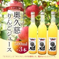 樹上完熟 奥久慈りんごジュース 500ml×3本セット【三村観光りんご園】｜茨城県 大子町 完熟 林檎 こうとく サンフジ ブレンド リンゴジュース アップルジュース 100％ ストレート 無添加 ギフト 飲料(BX014)