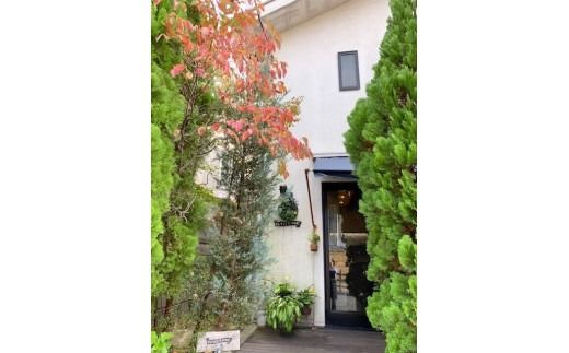 ラグタイム　お食事券　12,000円分